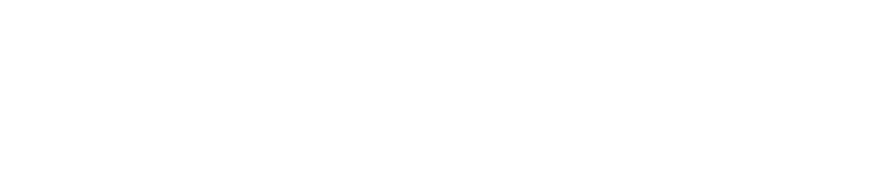 IDV logo