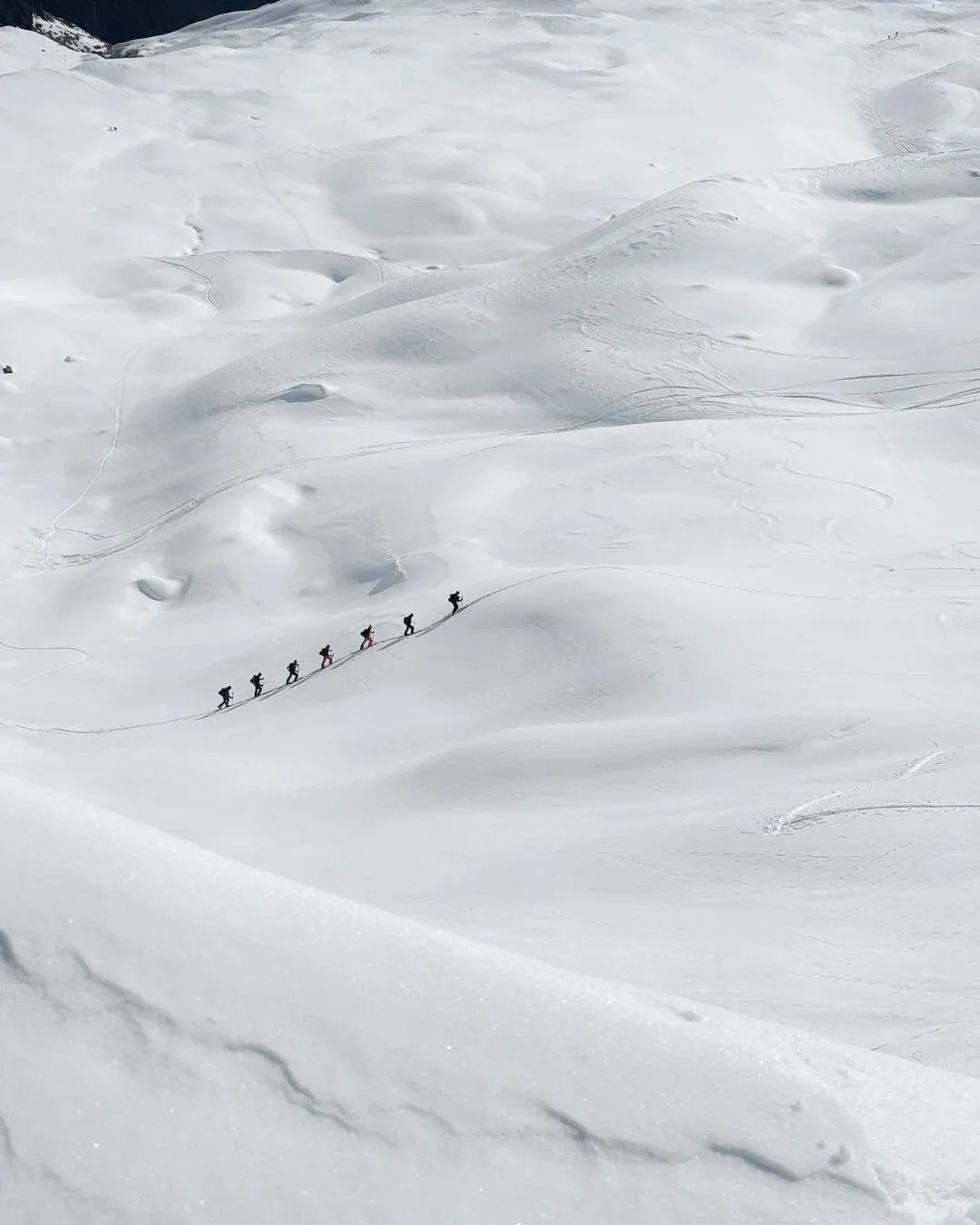 Group of ski tourers climbing a wide snow slope in single file