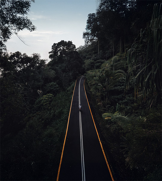Road through the jungle in Malaysia